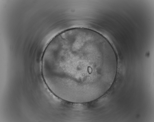 X0000111470807200907201135