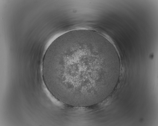 X0000111470811200907201135