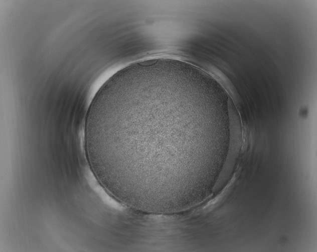 X0000111470812200907201135