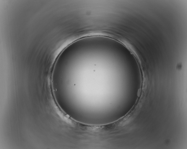 X0000111470813200907201135