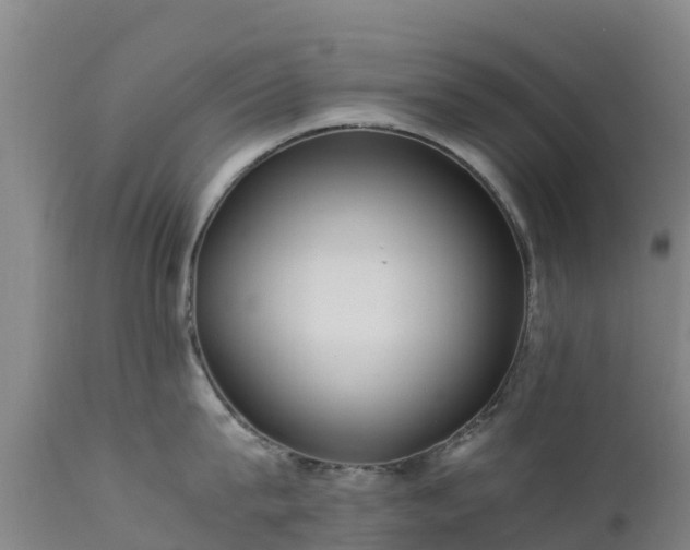 X0000111470815200907201134