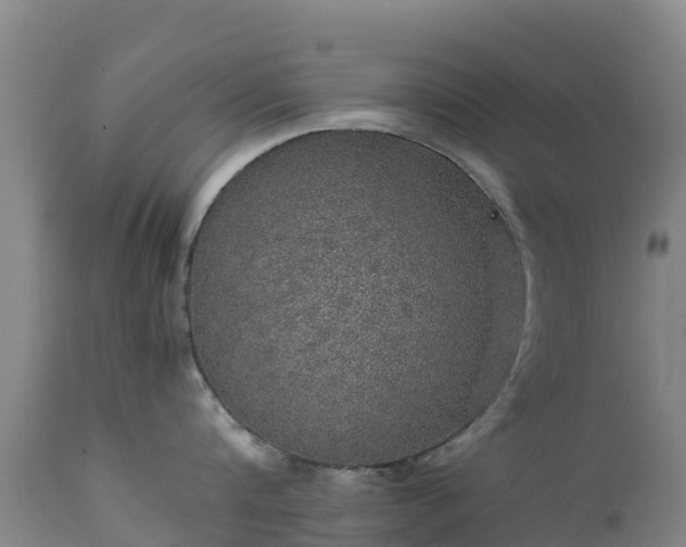 X0000111470816200907201134