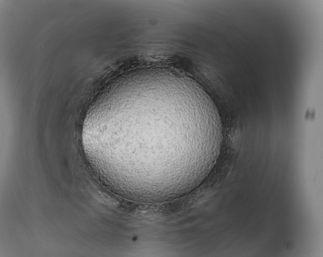 X0000111470817200907201134