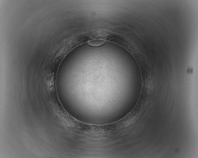 X0000111470818200907201134