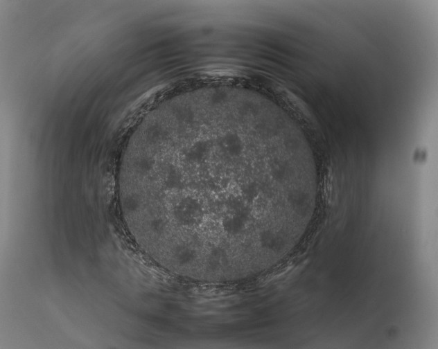 X0000111470821200907201134