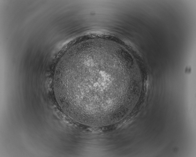 X0000111470822200907201134