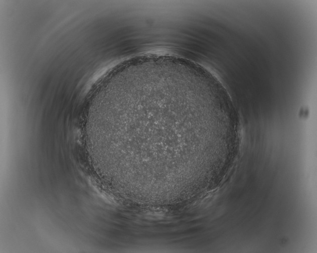 X0000111470823200907201134