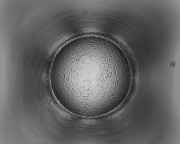 X0000111470825200907201134