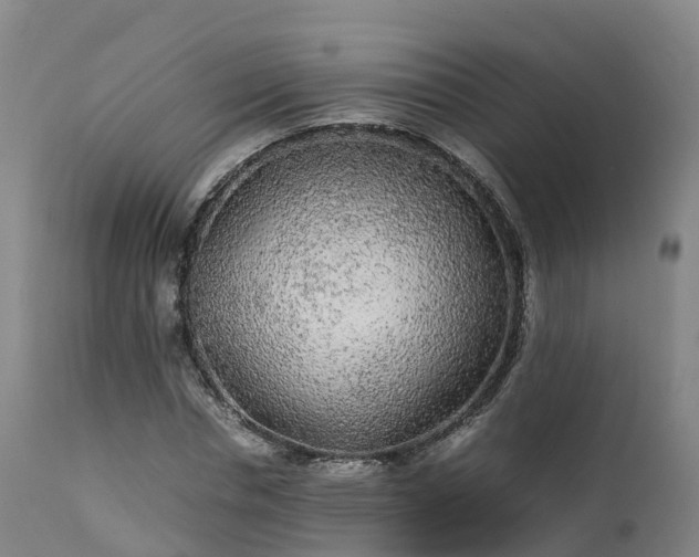 X0000111470826200907201134