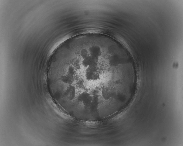 X0000111470827200907201134