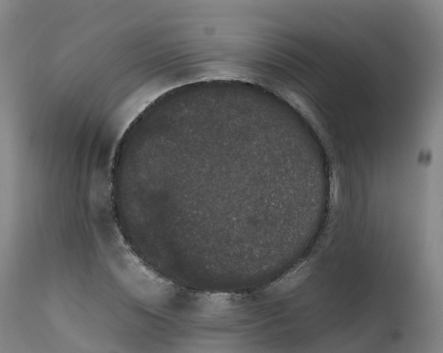 X0000111470828200907201134