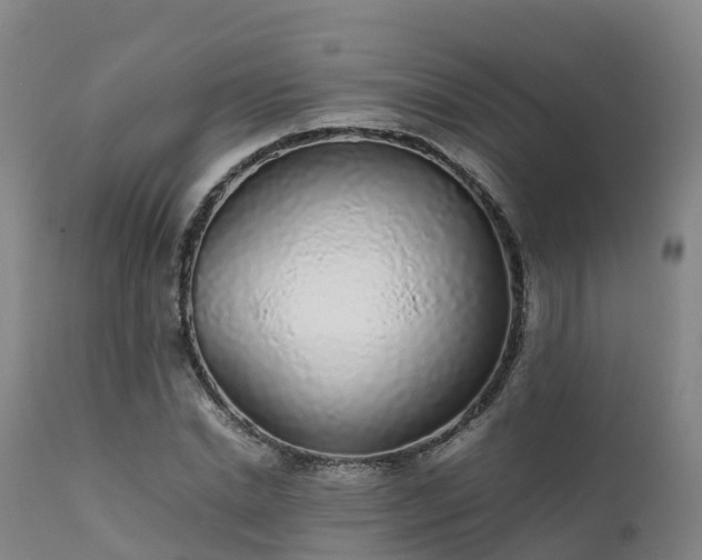 X0000111470830200907201134