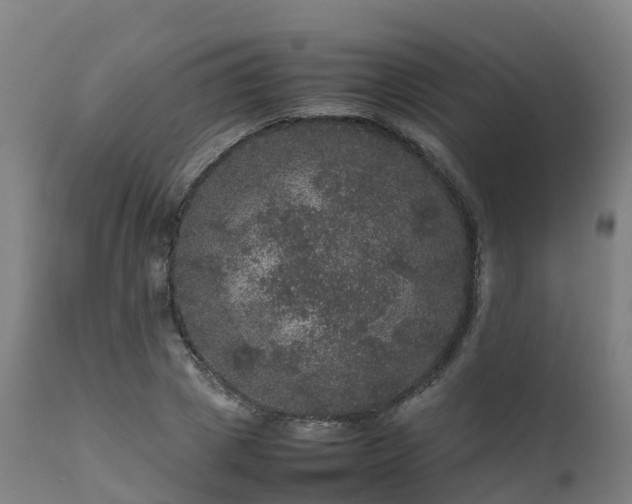 X0000111470833200907201134