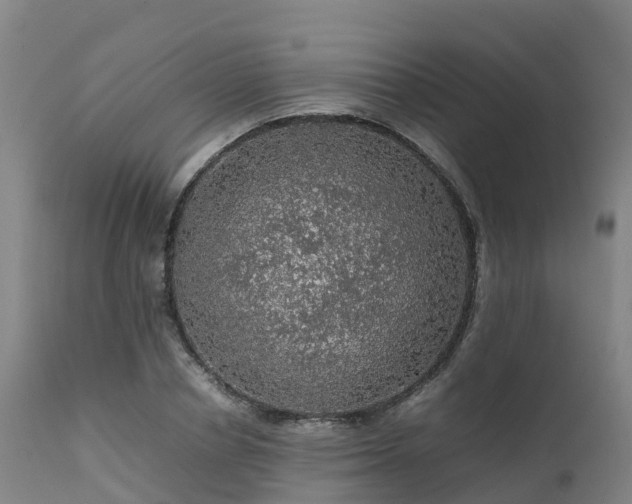 X0000111470834200907201134