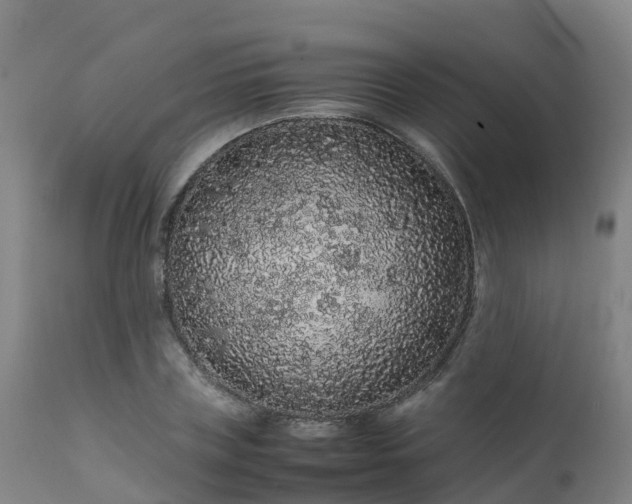 X0000111470835200907201134