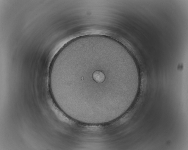 X0000111470836200907201134