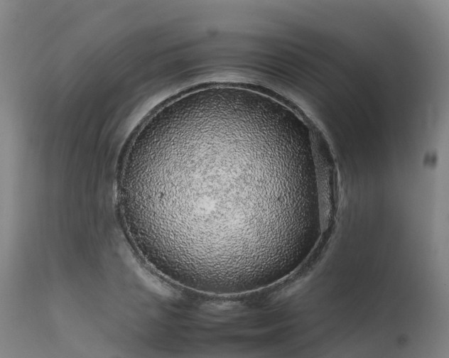 X0000111470837200907201134