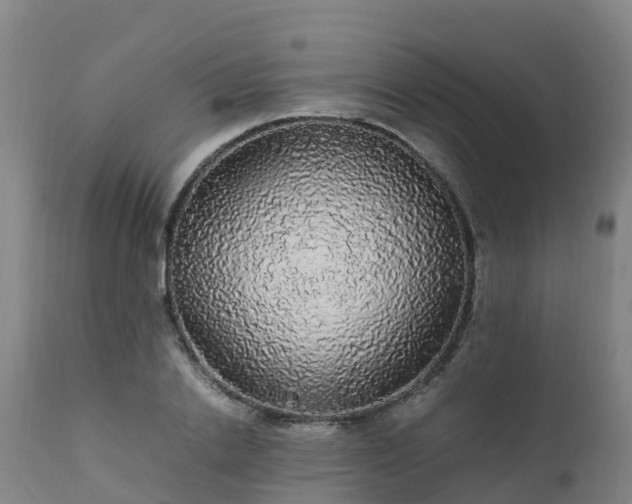 X0000111470838200907201134