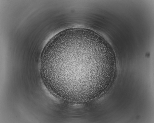 X0000111470839200907201134