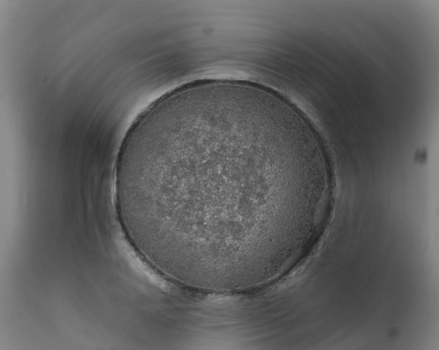 X0000111470840200907201134