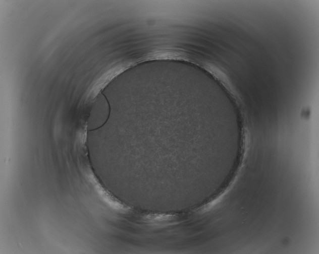 X0000111470841200907201134