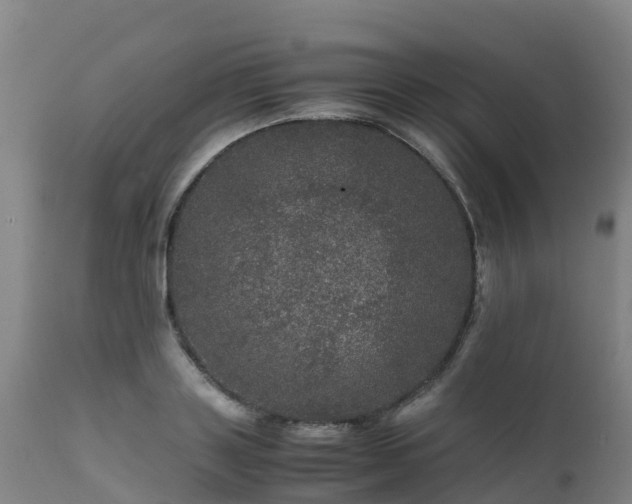 X0000111470843200907201134