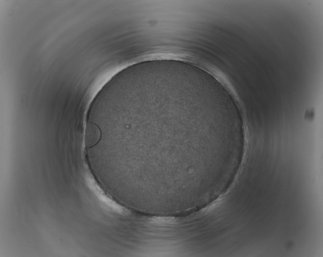 X0000111470844200907201134