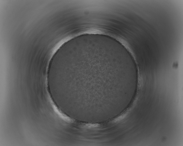 X0000111470845200907201134