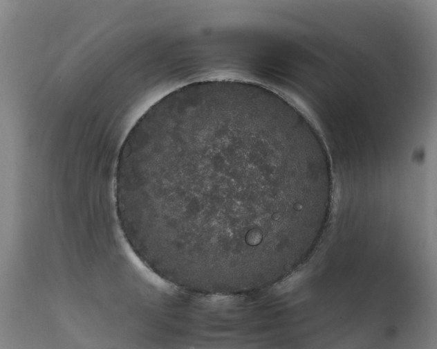 X0000111470847200907201134