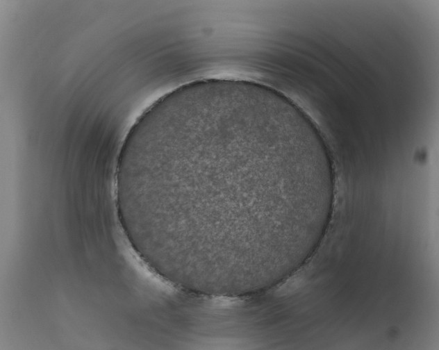 X0000111470848200907201134