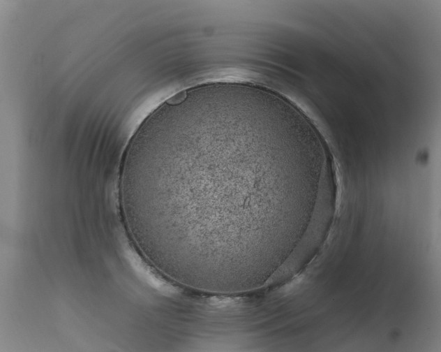 X0000111470850200907201134