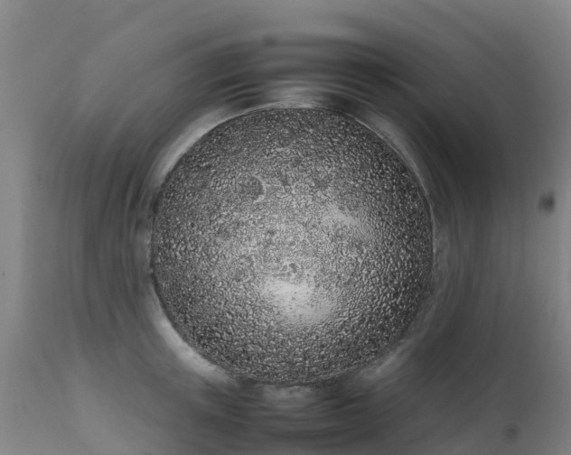 X0000111470851200907201134