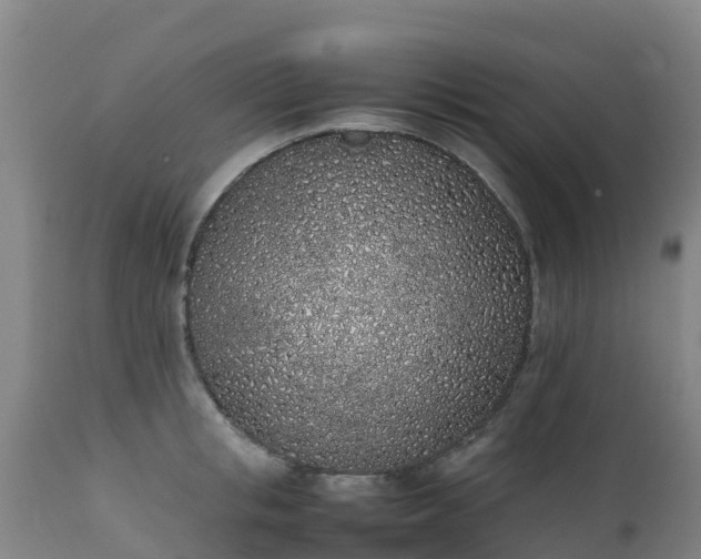 X0000111470853200907201134