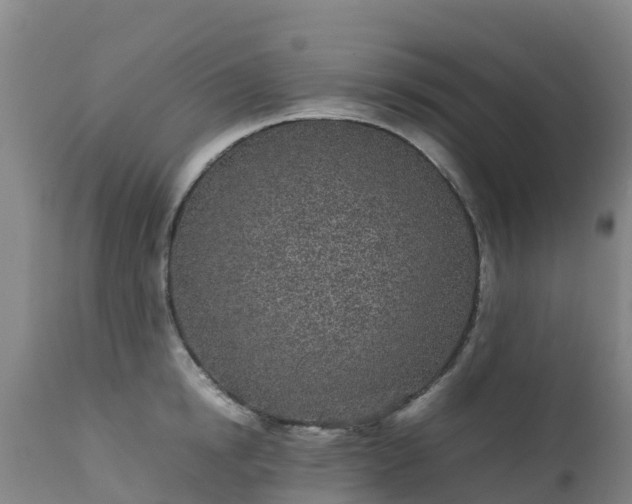 X0000111470854200907201134