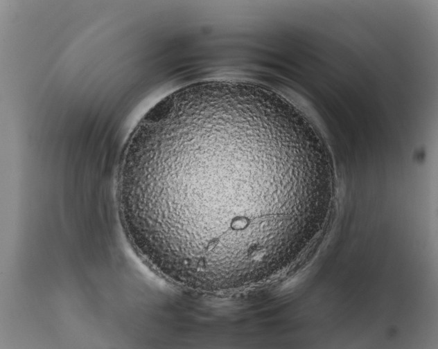 X0000111470855200907201134