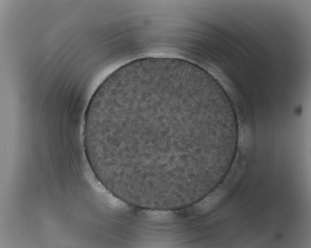 X0000111470856200907201134