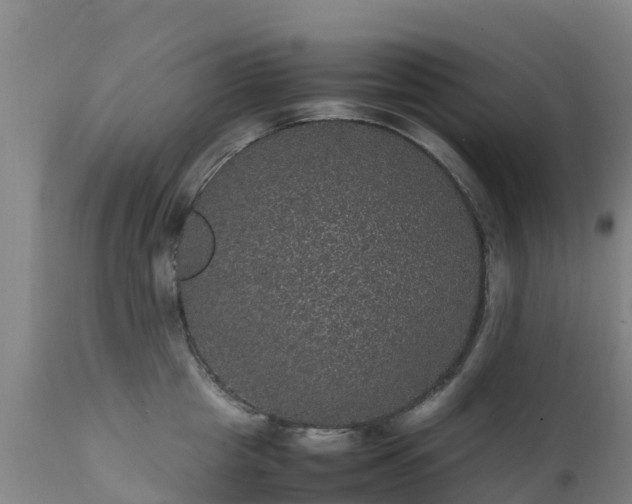 X0000111470857200907201134