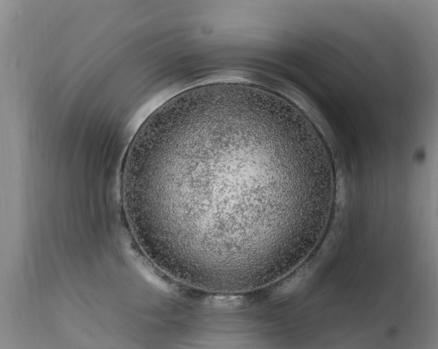 X0000111470858200907201134