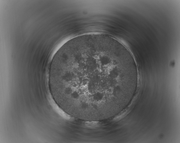 X0000111470859200907201134