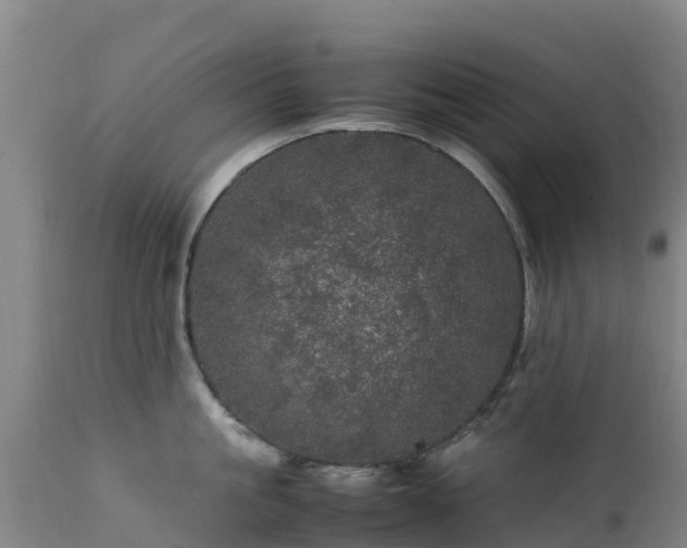 X0000111470861200907201134