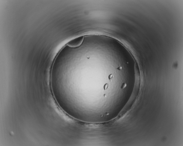 X0000111470862200907201134