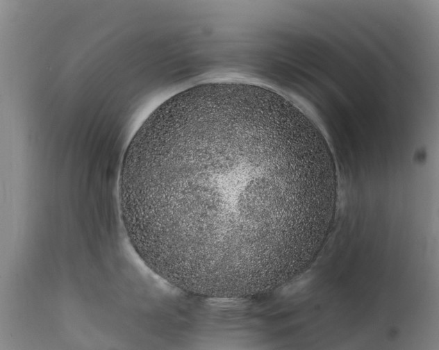 X0000111470863200907201134