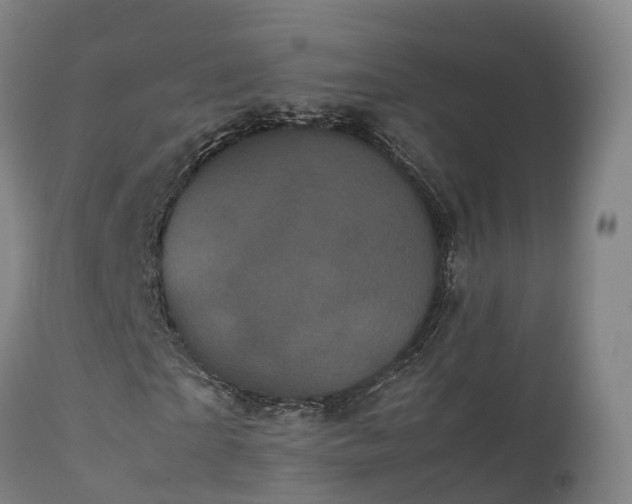 X0000111470865200907201134