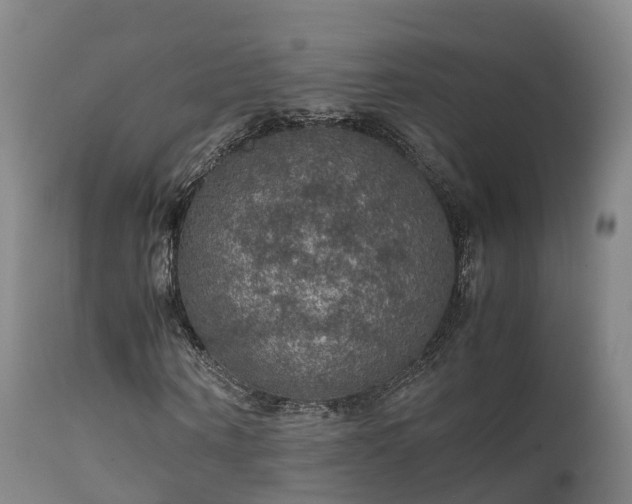 X0000111470866200907201134