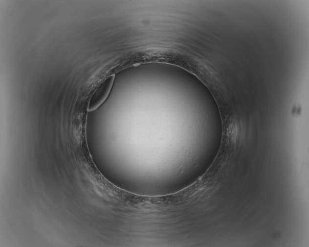 X0000111470868200907201134