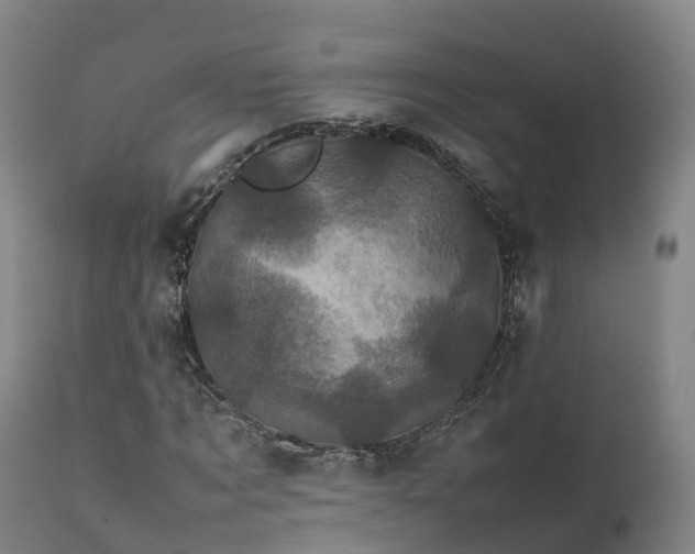 X0000111470869200907201134