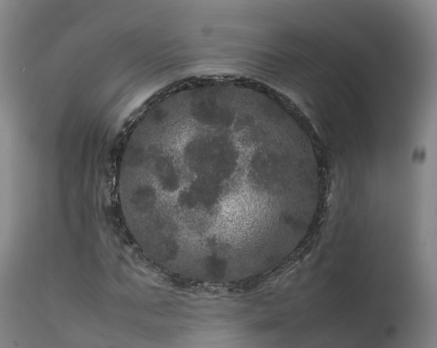 X0000111470871200907201134