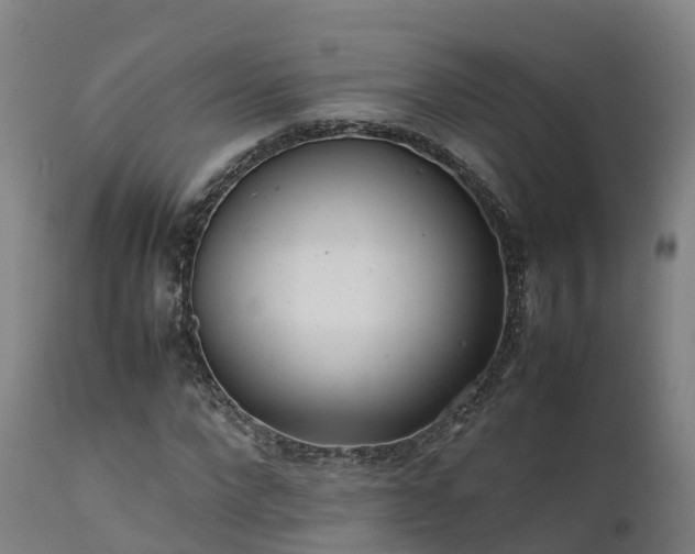 X0000111470872200907201134