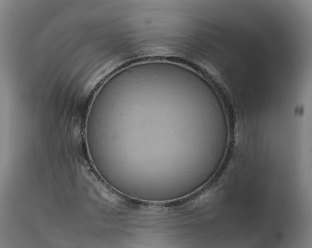 X0000111470873200907201134