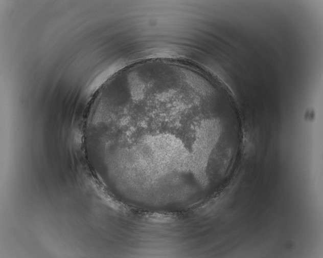 X0000111470874200907201134